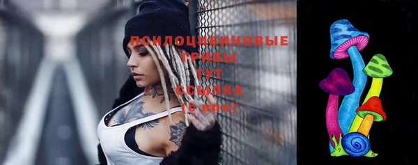 спиды Володарск