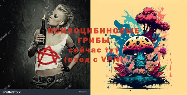 первитин Вяземский