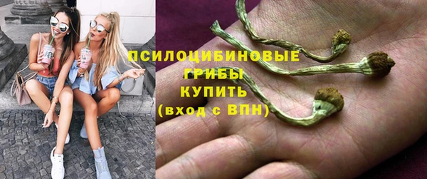 spice Вязьма