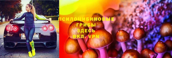 спиды Володарск