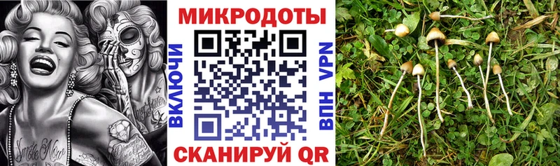 Галлюциногенные грибы прущие грибы  Купить закладки  Вяземский 