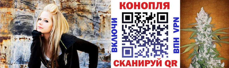 Купить где  Вяземский  Шишки марихуана тримм 