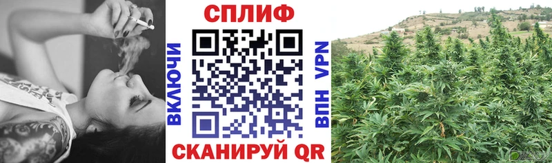 МАРИХУАНА план Вяземский
